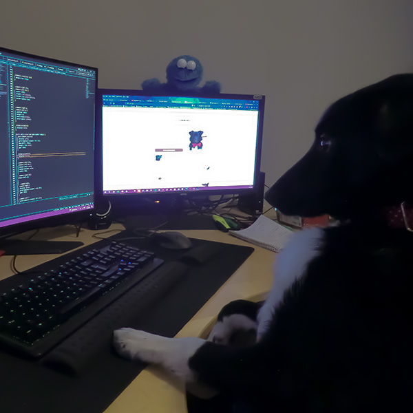 leo sitting at a pc